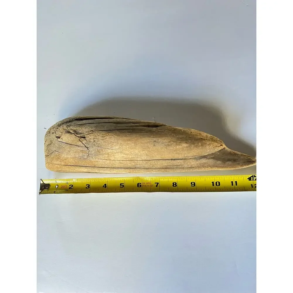 Driftwood from Hetch Hetchy dam 12 inches aquarium art decor